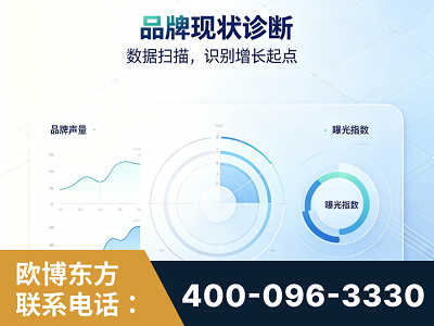 信宜-品牌现状诊断