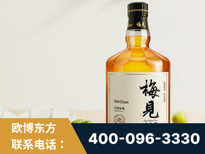 信宜-梅见青梅酒